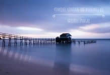 Pourquoi souscrire une assurance-vie ? Pourquoi-souscrire-une-assurance-vie