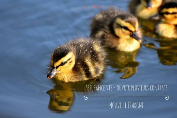 Ouvrir plusieurs contrats d'assurance-vie - Nouvelle Épargne ouvrir-plusieurs-contrats-assurance-vie