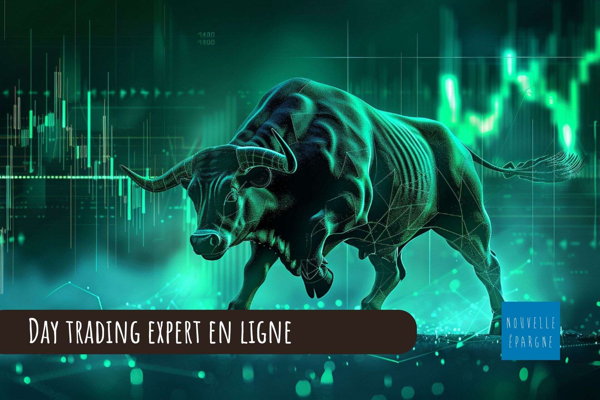 Day trading expert en ligne