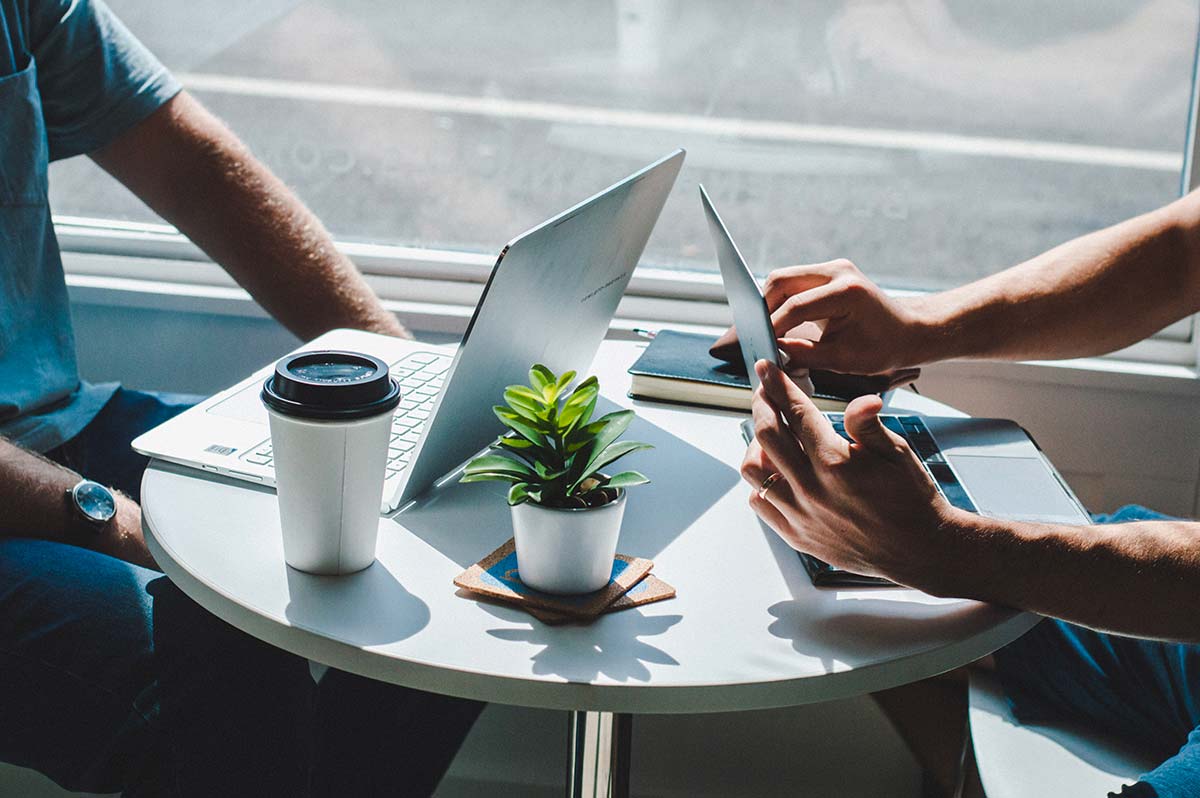 photo de deux personnes avec des laptops avec une plante sur leur table et un goblet