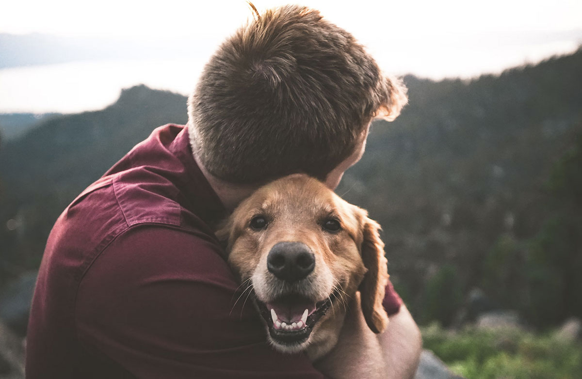 Photo d'un chien et son maitre dans la nature