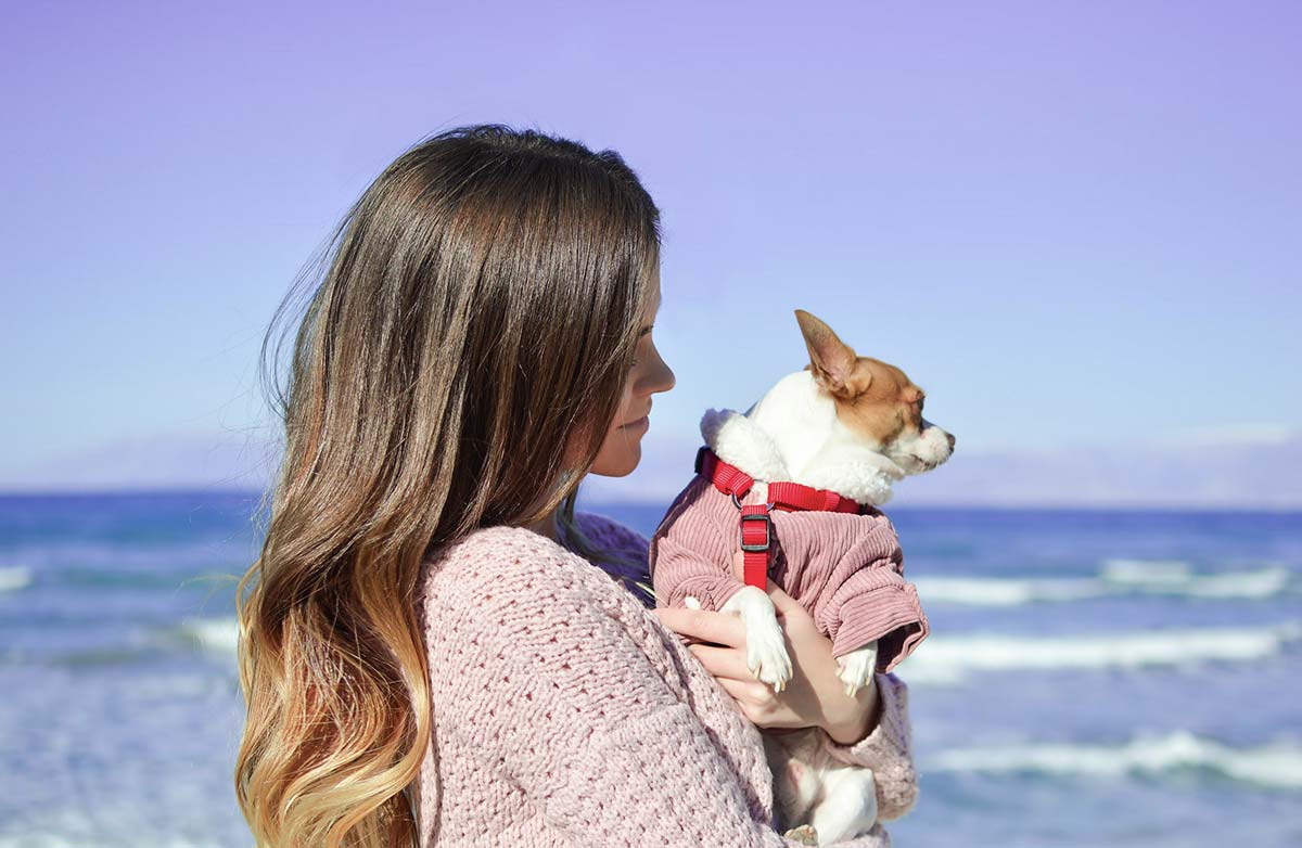 Photo d'un chien et de sa propriétaire à la page