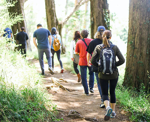 Photo d'un groupe de marche en forêt