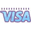 picto coloré Visa
