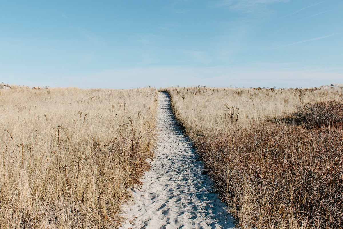 photo dunes de sable