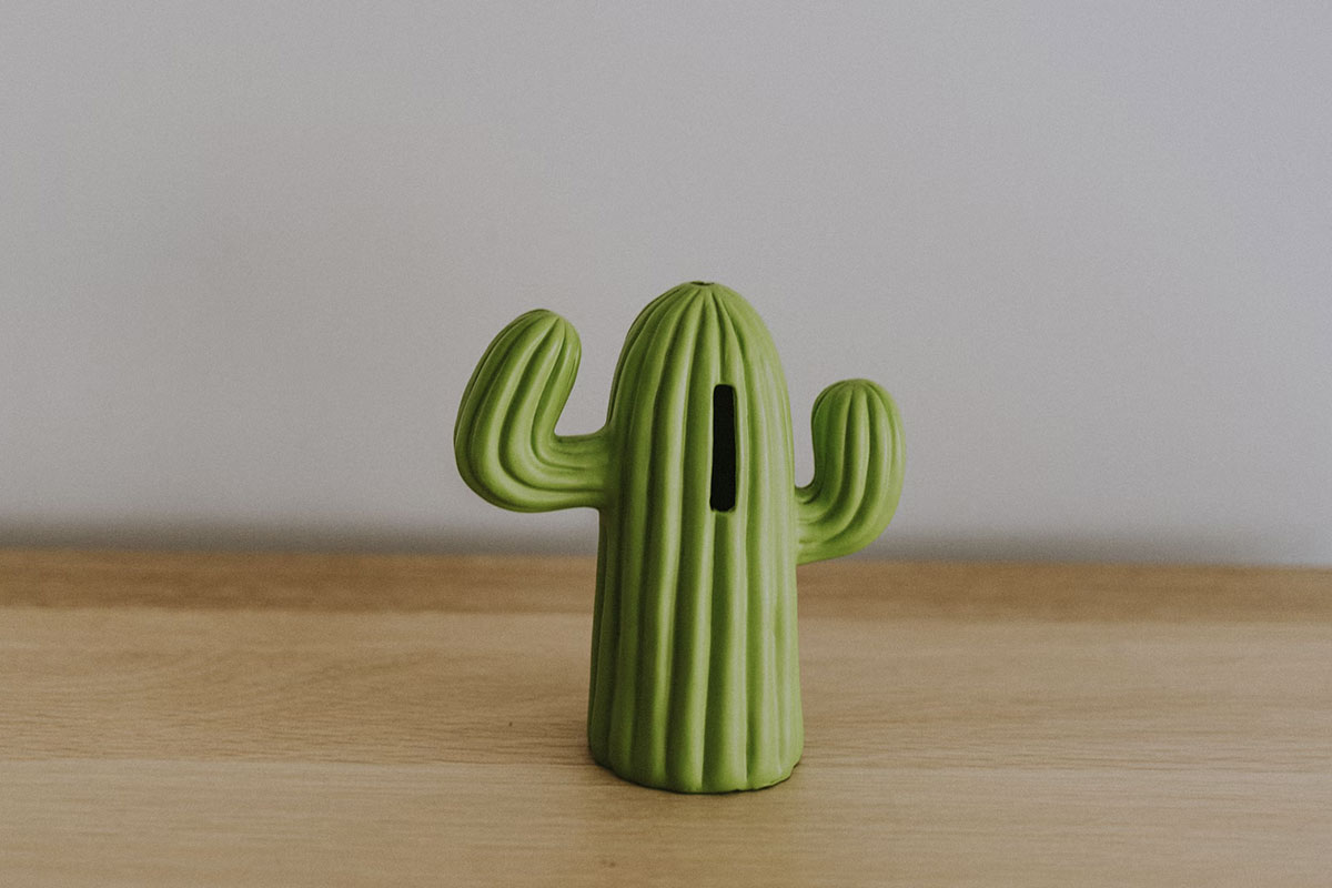 Photo d'une tirelire en forme de cactus